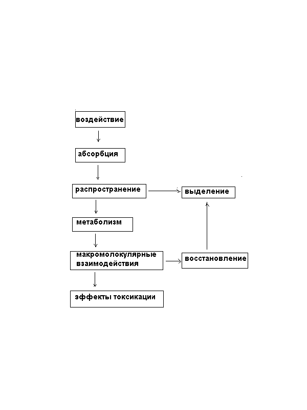 Распределение токсинов