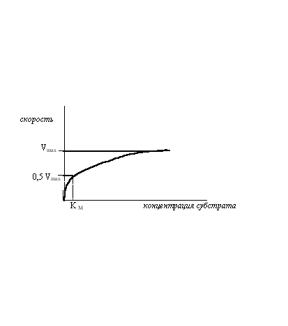 Ферментативная кинетика Михаэлиса-Ментена