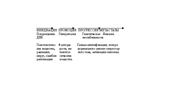 Соврменные представления о механизмах канцерогенеза